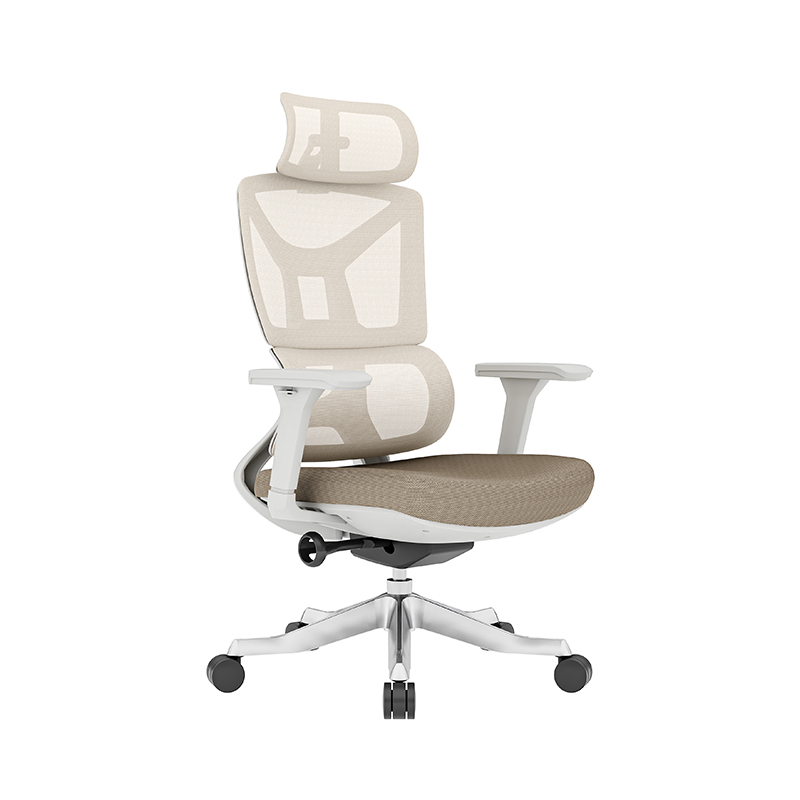 卸売 高品質 オフィスチェア サイラス・デ・オフィシナ オフ - Office Furniture And Equipment のレビューと価格