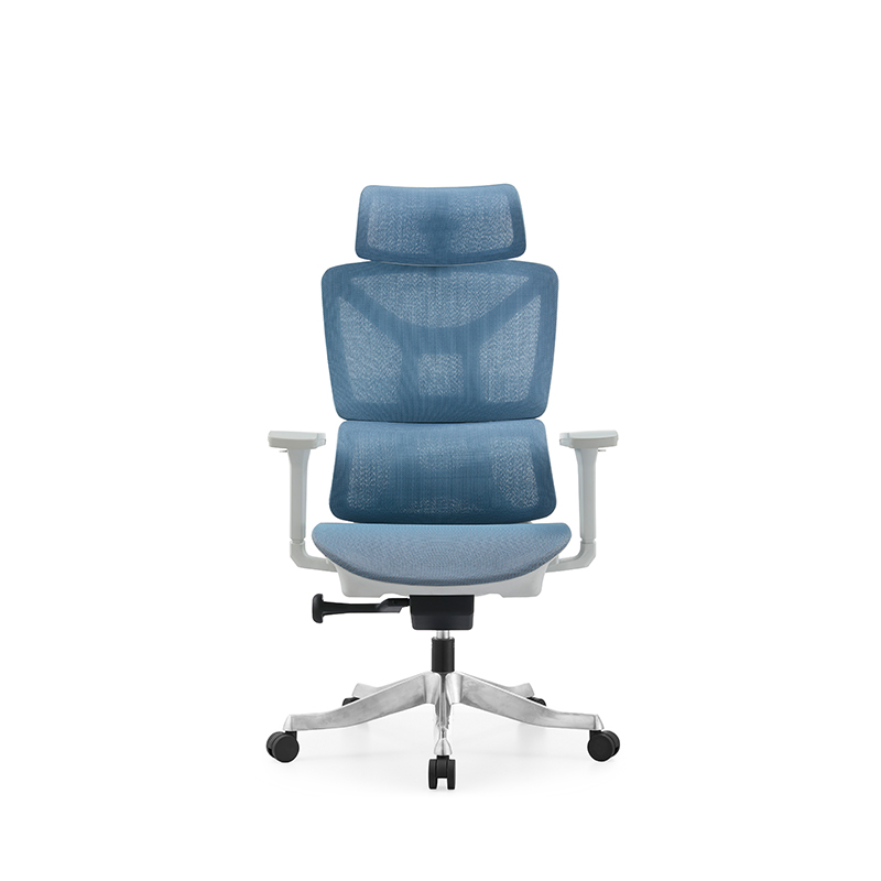 卸売 高品質 オフィスチェア サイラス・デ・オフィシナ オフ - Office Furniture And Equipment のレビューと価格